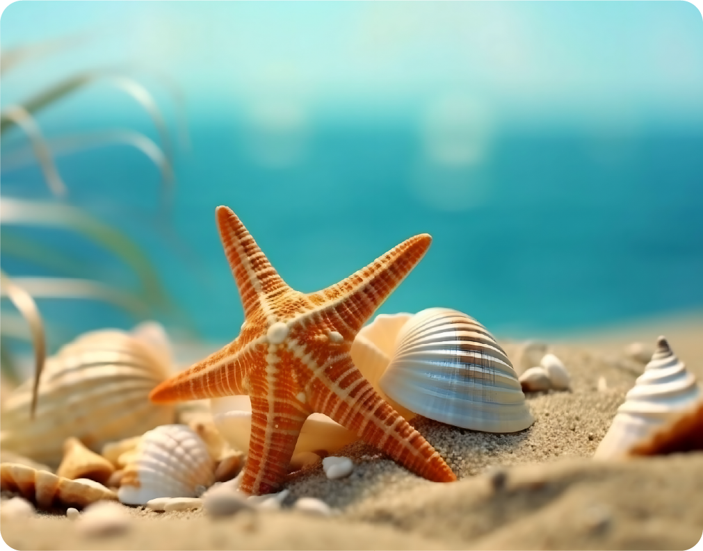 Beautiful Beach Scene with Starfish and Seashells - Large 11x14" Magnetic Wall or Fridge Art | Damage-Free Home & Dorm Décor by UARTWORK