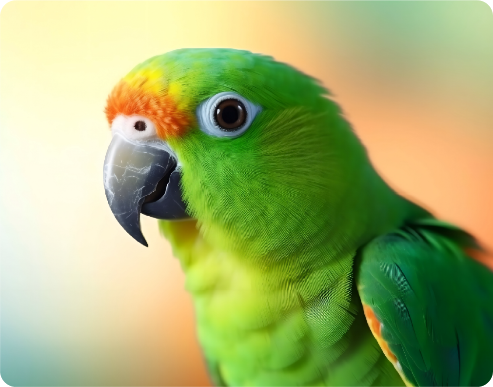 Green and Yellow Parrot on Abstract Colorful Background - Large 11x14" Magnetic Wall or Fridge Art | Damage-Free Home & Dorm Décor by UARTWORK