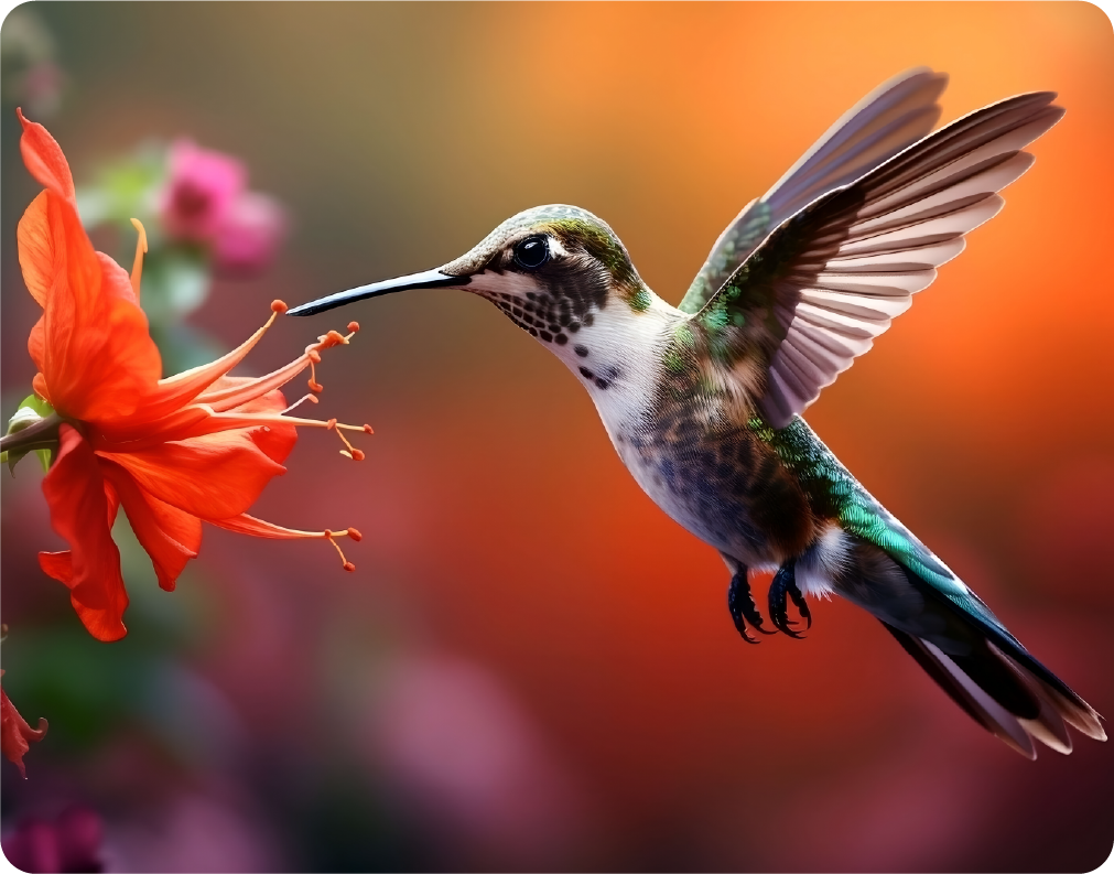 Hummingbird Flying Towards Red Flower - Large 11x14" Magnetic Wall or Fridge Art | Damage-Free Home & Dorm Décor by UARTWORK