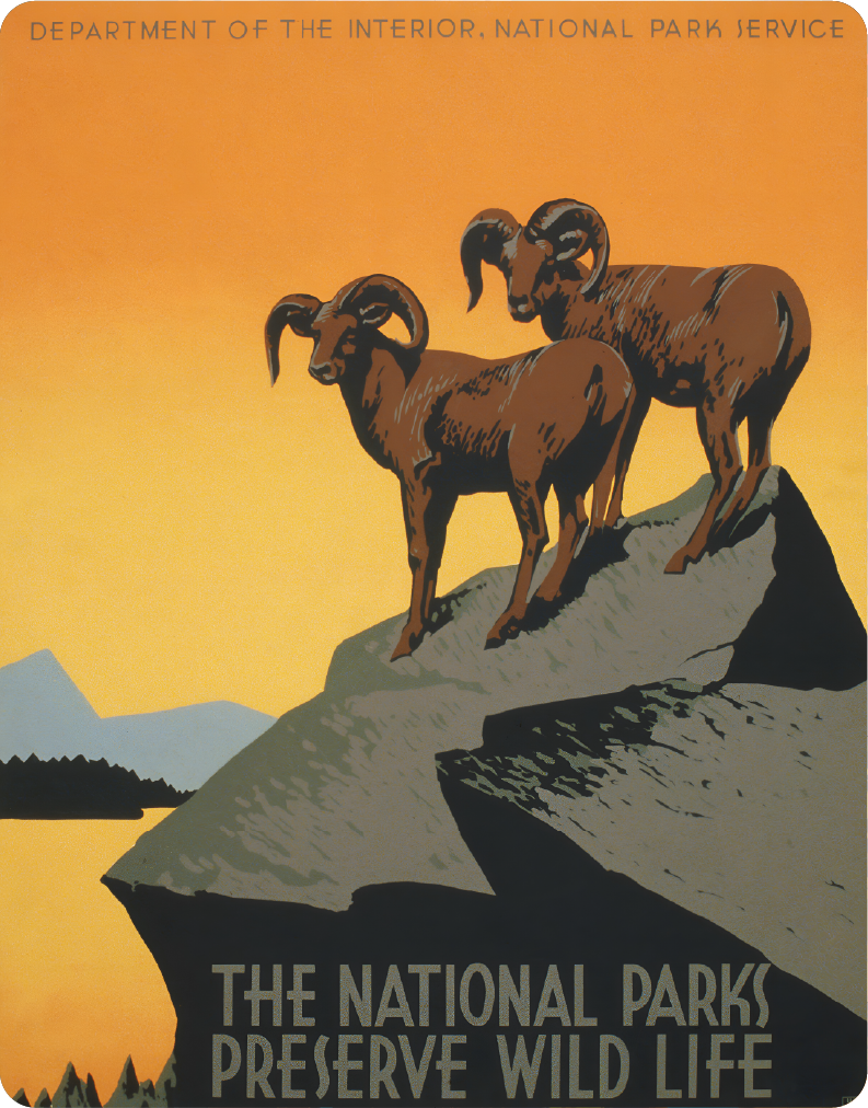The National Parks Preserve Wild Life - Large 11x14" Magnetic Wall or Fridge Art | Damage-Free Home & Dorm Décor by UARTWORK