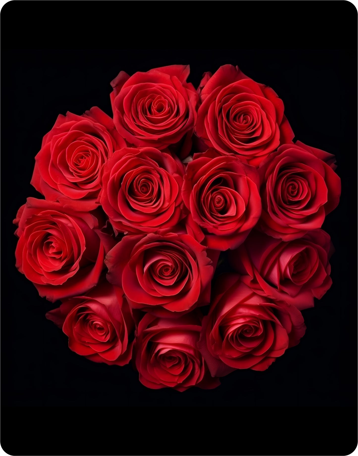 Bouquet Of Roses - Large 11x14" Magnetic Wall or Fridge Art | Damage-Free Home & Dorm Décor by UARTWORK