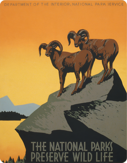 The National Parks Preserve Wild Life - Large 11x14" Magnetic Wall or Fridge Art | Damage-Free Home & Dorm Décor by UARTWORK